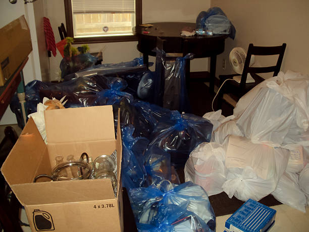 Attic Cleanout Services in Meadow Vista, CA